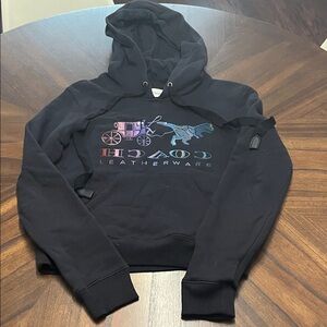 Coach Rexy Hoodie